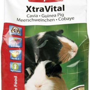 Xtravital cavia