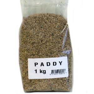 Paddy
