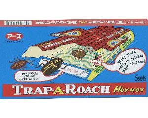Hoy hoy trap-a-roach