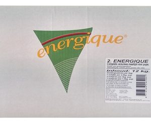 Energique nr 2 puppy