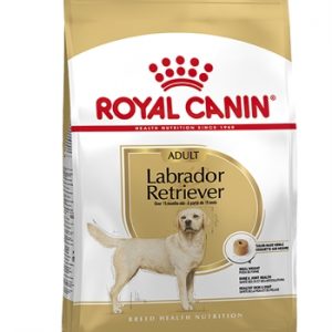 Royal canin labrador retriever adult