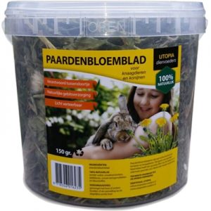 Paardenbloemblad