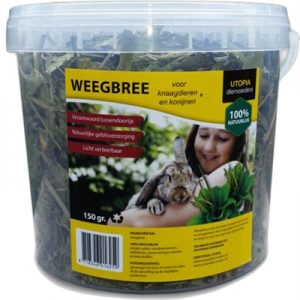 Weegbree