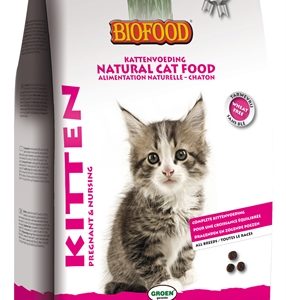 Biofood cat kitten pregnant & nursing
