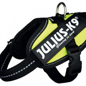 Julius k9 idc harnas / tuig neon groen