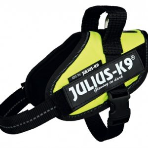 Julius k9 idc harnas / tuig neon groen