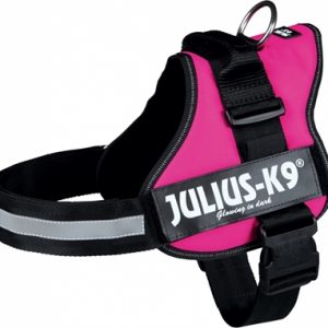 Julius k9 power-harnas / tuig voor labels fuchsia