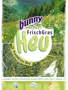 Bunny nature vers gras hooi