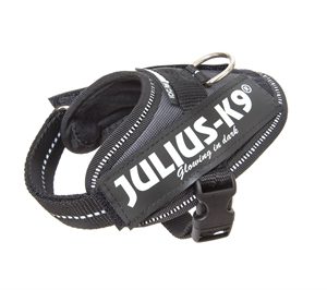 Julius k9 idc power-harnas / tuig voor labels antraciet
