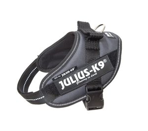Julius k9 idc power-harnas / tuig voor labels antraciet