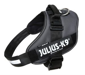 Julius k9 idc power-harnas / tuig voor labels antraciet