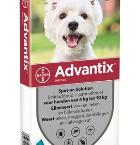 Bayer advantix spot on