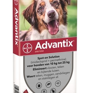 Bayer advantix spot on