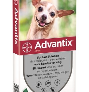 Bayer advantix spot on