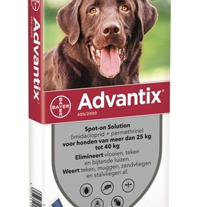 Bayer advantix spot on
