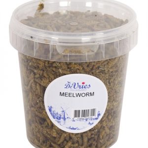 De vries meelworm