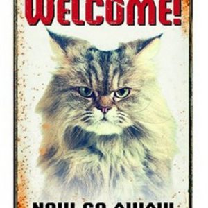 Plenty gifts waakbord blik grumpy cat