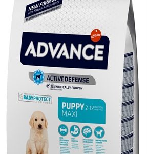 Advance puppy protect maxi
