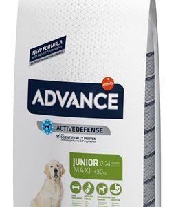 Advance maxi junior