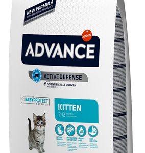 Advance cat kitten chicken / rice