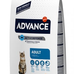 Advance cat adult chicken / rice