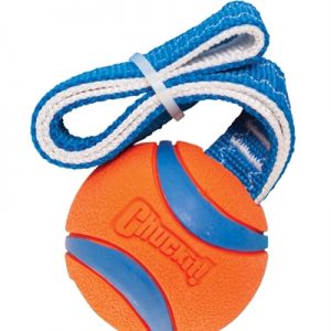 Chuckit ultra tug