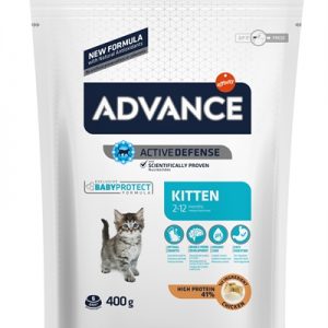 Advance kitten