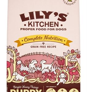 Lily’s kitchen dog puppy chicken / salmon