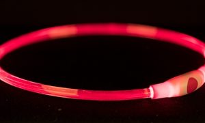 Trixie halsband usb flash light lichtgevend oplaadbaar rood