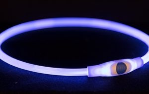 Trixie halsband usb flash light lichtgevend oplaadbaar blauw