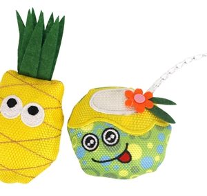 Fofos summer ananas met drankje