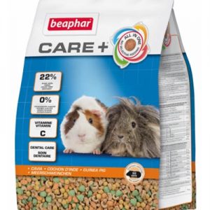 Care+ cavia