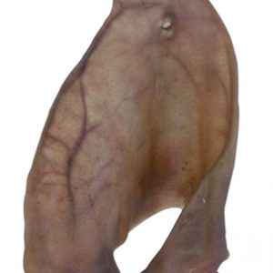 Petsnack varkensoren