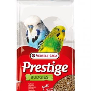 Prestige grasparkiet