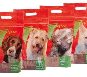 Energique nr 2 puppy