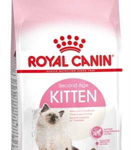 Royal canin kitten