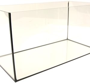 Aquarium met zwarte kit
