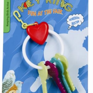 Happy pet fun at the fair key ring