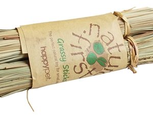 Happy pet grassy sticks