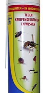 Topscore kruipende insect/wesp