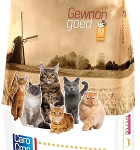 Carocroc kat lam